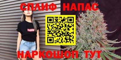 крисы Будённовск