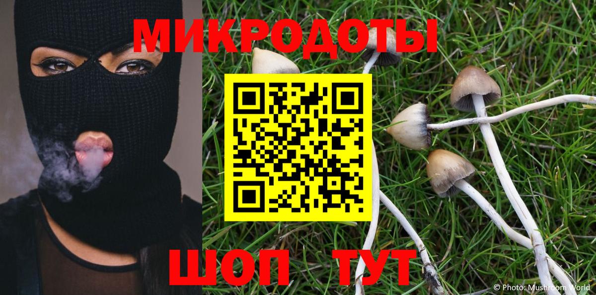 Урус-Мартан  Псилоцибиновые грибы мухоморы  Галлюциногенные грибы Psilocybine cubensis  Вход с VPN 