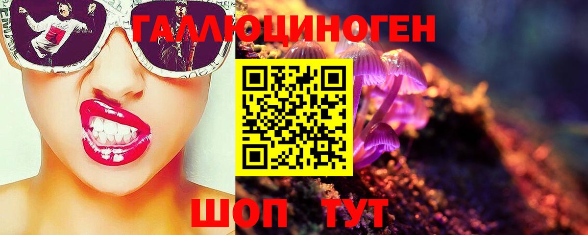 Галлюциногенные грибы Cubensis Урус-Мартан